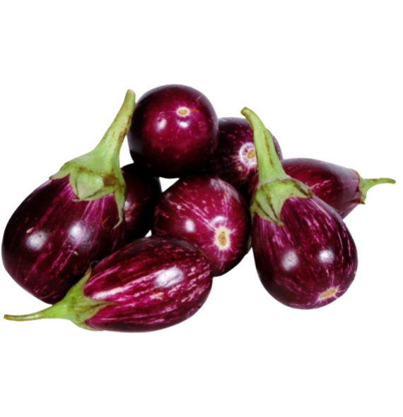 
Export Organic Vegetables & Fruits - Brinjal- 100% Certified - Enquire Now

