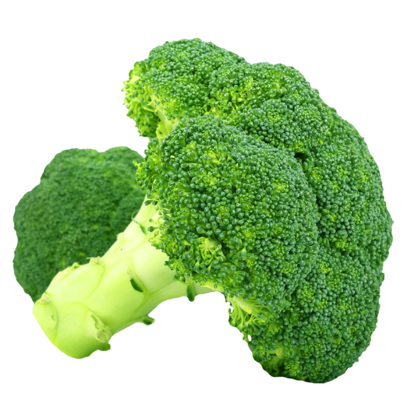 Export Organic Vegetables & Fruits - Broccoli - 100% Certified - Enquire Now