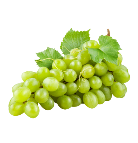 Export Organic Vegetables & Fruits - Grapes - 100% Certified - Enquire Now
