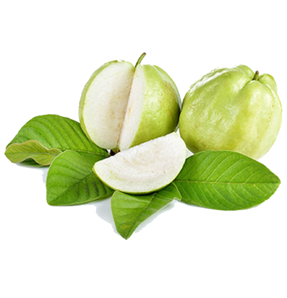 Export Organic Vegetables & Fruits - Guava - 100% Certified - Enquire Now