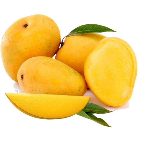 Export Organic Vegetables & Fruits - Alphonso Mango - 100% Certified - Enquire Now